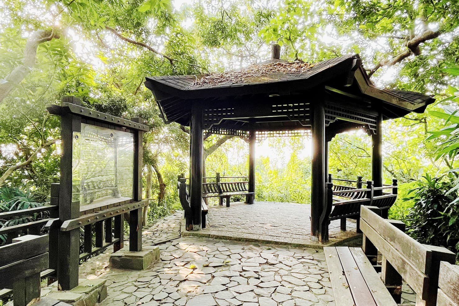 戶外健行 × 單詞遊戲 × 英語交流