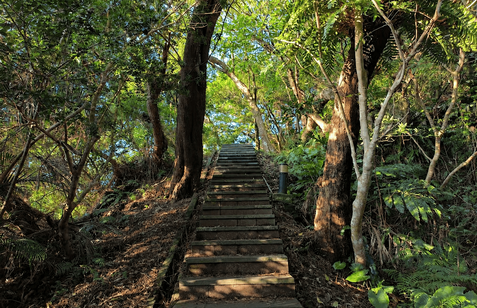 Outdoor hiking, word games, and hangout with native English speakers